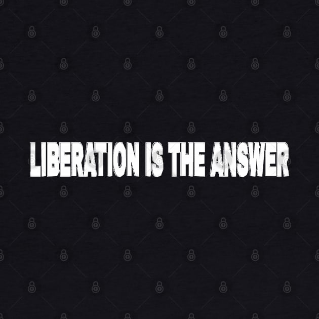 LIBERATION Is The Answer - Kwame Ture - Stokely Carmichael - Zionism = Stolen Land - Double-sided by SubversiveWare